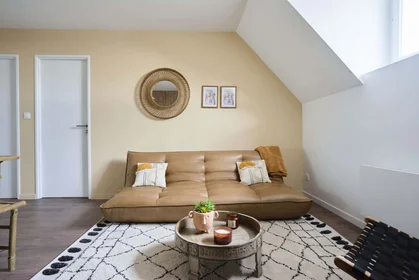 Private room at 14 Rue du Lieutenant Henri Crépin, 54000 Nancy, France, image 12 of 18