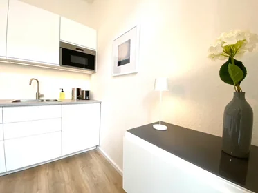 Appartamento intero in Winckelmannstraße, Stadtfeld Ost, immagine 6 di 10