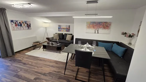 Entire apartment at Enzingergasse, Kleingmain, image 3 of 8