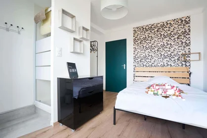 Habitación privada en 250 Rue Jeanne d'Arc, 54000 Nancy, France, imagen 3 de 15