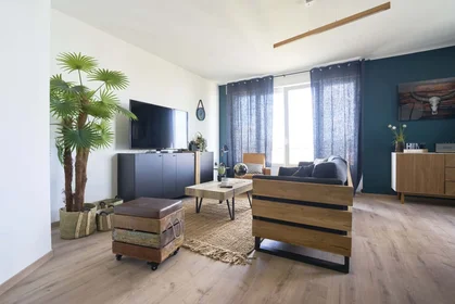 Chambre privée à 250 Rue Jeanne d'Arc, 54000 Nancy, France, image 10 de 15