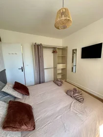 Privatzimmer in der Annemasse, 74100, bild 24 von 28