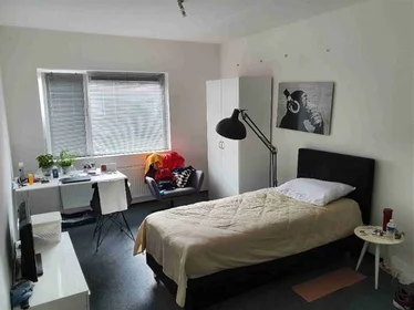 Özel oda konumu Palmstraat, 1 9 görüntüsü