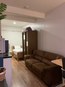 Private room at Van Maerlantstraat, image 6 of 8
