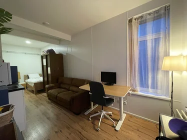 Private room at Van Maerlantstraat, image 7 of 8