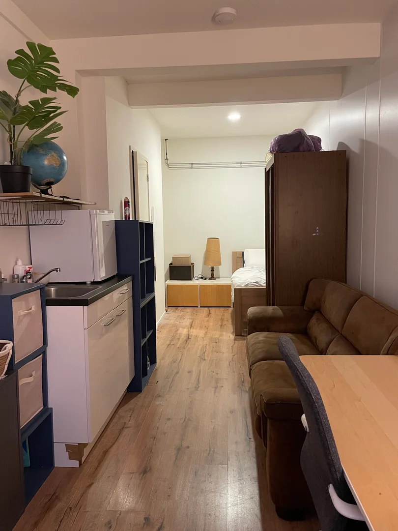 Affordable room for students with ample lighting in 