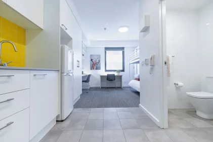 Studio en résidence à 12-18 Synagogue Place, Adelaide, South Australia, 5000 Australia, image 3 de 37