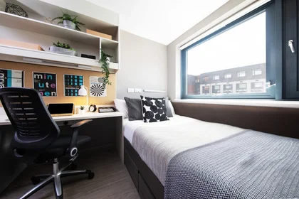 Privatzimmer in der Newport Rd Ln, Cardiff CF24 0SP, United Kingdom, bild 1 von 10