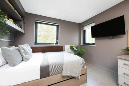 Studio in residence at Newport Rd Ln, Cardiff CF24 0SP, United Kingdom, image 1 of 23