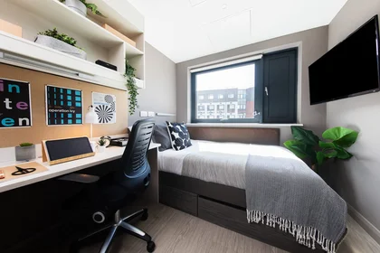 Studio in residence at Newport Rd Ln, Cardiff CF24 0SP, United Kingdom, image 13 of 23