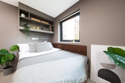 Studio in residence at Newport Rd Ln, Cardiff CF24 0SP, United Kingdom, image 15 of 23