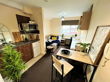 Monolocale in residence in 129 Fylde Rd, Preston PR1 2XP, United Kingdom          , immagine 1 di 37
