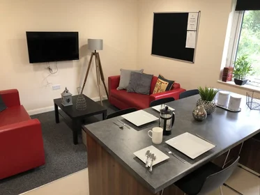 Monolocale in residence in 129 Fylde Rd, Preston PR1 2XP, United Kingdom          , immagine 36 di 37