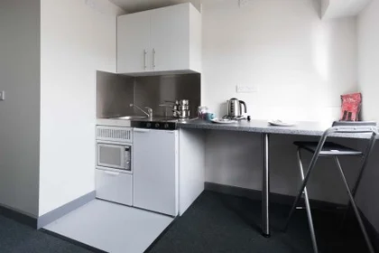 Studio im Wohnheim in der Poulson House, Spark St, Stoke-on-Trent ST4 1AB, United Kingdom      , bild 4 von 18