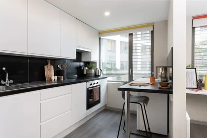 私人房间 在住宅内 在 8 Oldham St, Liverpool L1 2SU, United Kingdom, 18的图像17