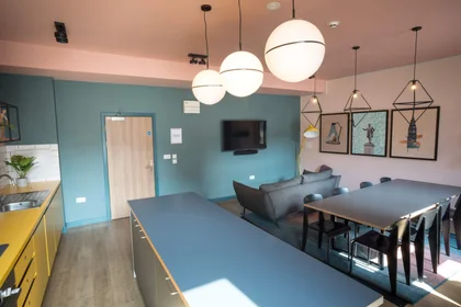 Habitación privada en residencia en Glossop Rd, Cardiff CF24 0JU, United Kingdom, imagen 29 de 43