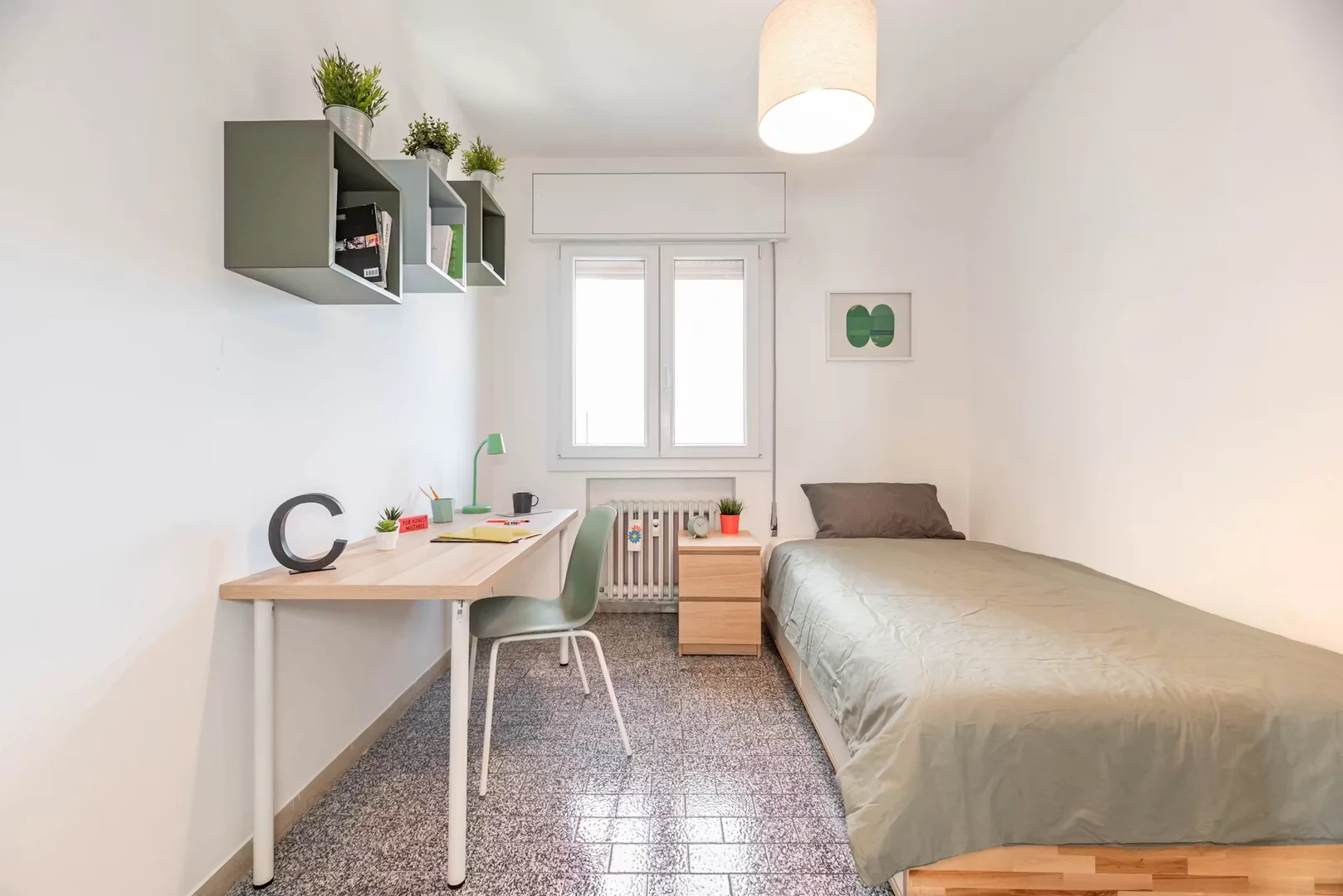 Student-friendly room in with modern amenities