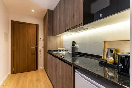 Logement entier à Rua dos Pintores de Vidros 110, image 7 de 42