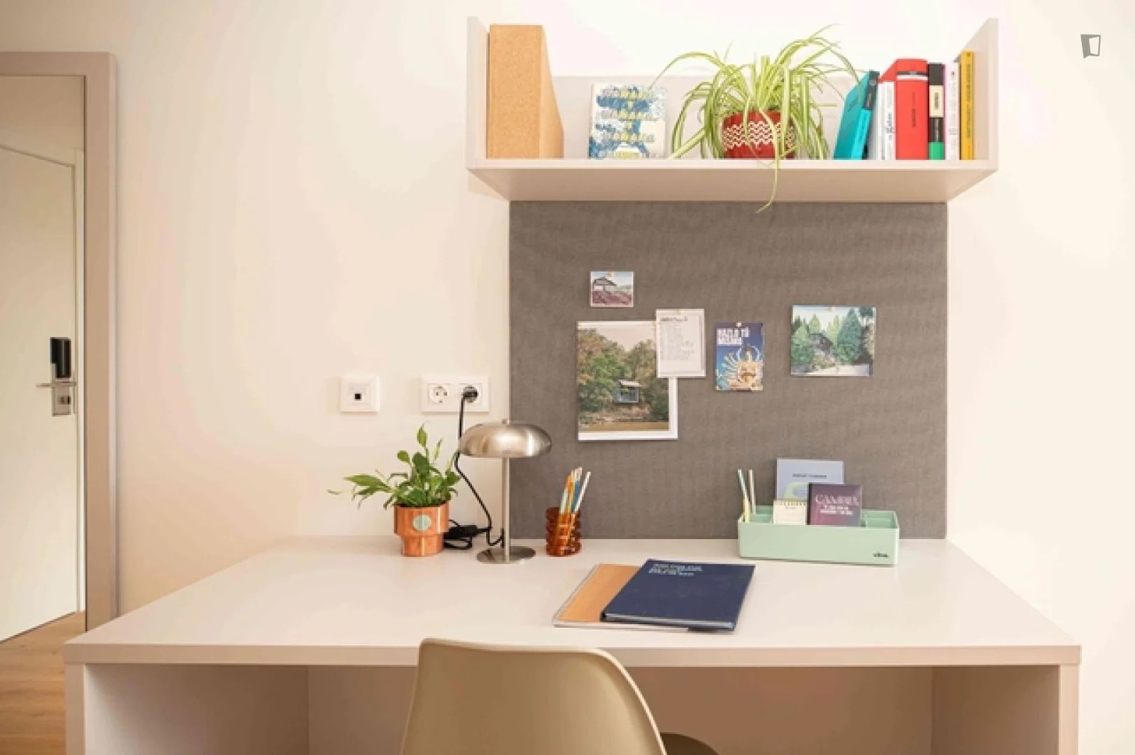 Preisgünstiges Studentenzimmer in günstiger Lage in 