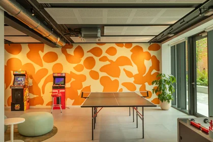 Stanza privata in residence in Via Giovanni Durando, immagine 15 di 49