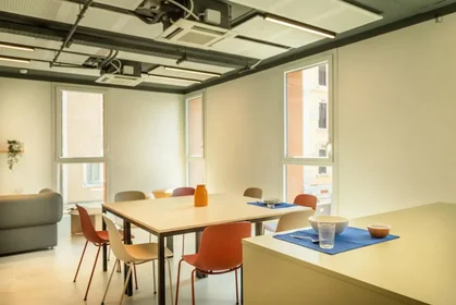 Stanza privata in residence in Via Giovanni Durando, immagine 24 di 49