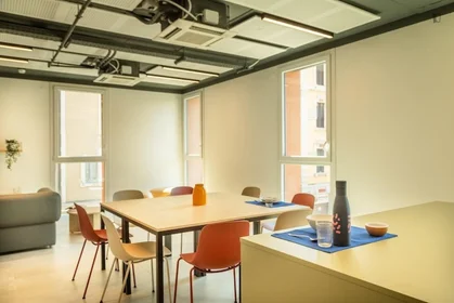 Stanza privata in residence in Via Giovanni Durando, immagine 26 di 49