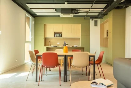 Stanza privata in residence in Via Giovanni Durando, immagine 28 di 49