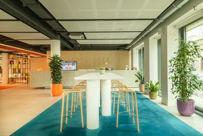 Stanza privata in residence in Via Giovanni Durando, immagine 30 di 49