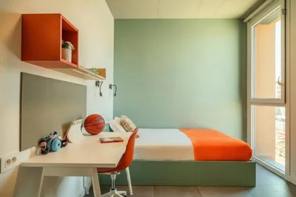 Stanza privata in residence in Via Giovanni Durando, immagine 38 di 49