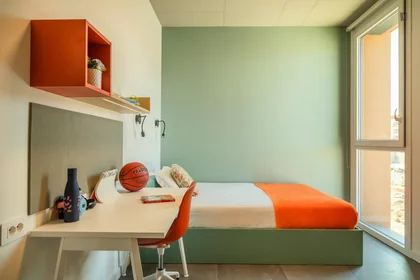 Stanza privata in residence in Via Giovanni Durando, immagine 44 di 49