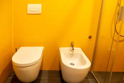 Stanza privata in residence in Via Giovanni Durando, immagine 46 di 49