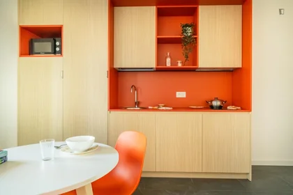 Stanza privata in residence in Via Giovanni Durando, immagine 48 di 49