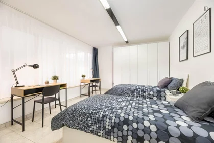 Stanza privata in Via Enrico Toti, immagine 3 di 17