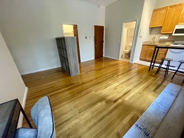 Kawalerka w rezydencji 115, Saint Botolph St., Unit 3, Back Bay, Boston, MA, 02116, obraz 1 14