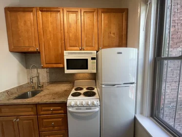 Kawalerka w rezydencji 115, Saint Botolph St., Unit 3, Back Bay, Boston, MA, 02116, obraz 12 14