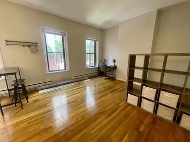 Kawalerka w rezydencji 115, Saint Botolph St., Unit 3, Back Bay, Boston, MA, 02116, obraz 13 14