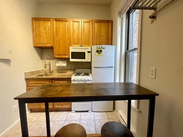 Kawalerka w rezydencji 115, Saint Botolph St., Unit 3, Back Bay, Boston, MA, 02116, obraz 14 14