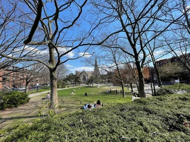 Kawalerka w rezydencji 115, Saint Botolph St., Unit 3, Back Bay, Boston, MA, 02116, obraz 6 14