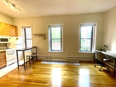 Kawalerka w rezydencji 115, Saint Botolph St., Unit 3, Back Bay, Boston, MA, 02116, obraz 9 14