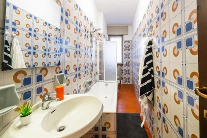 Stanza privata in Via Ferruccio dell'Orto, immagine 15 di 16