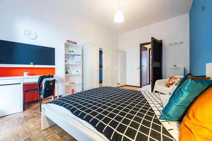 Stanza privata in Via Ferruccio dell'Orto, immagine 4 di 16