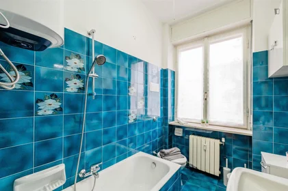 Stanza privata in Via Gianforte Suardi, immagine 11 di 17