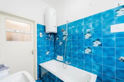 Stanza privata in Via Gianforte Suardi, immagine 12 di 17
