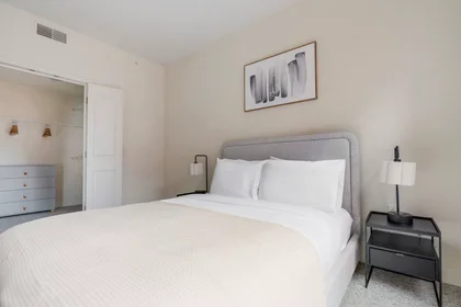 Gesamte Unterkunft in der North Irving Street, Columbia Heights, bild 10 von 10