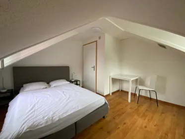 Zurich içinde 2 yatak odalı konaklama