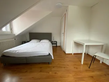 Zurich içinde 2 yatak odalı konaklama