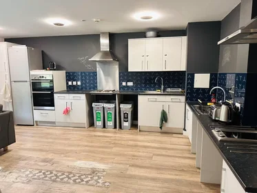 Prywatny pokój Hull HU6 7EL, United Kingdom, obraz 26 31