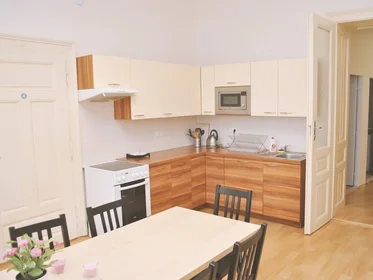 Privatzimmer in der Dominikánské náměstí, bild 2 von 8