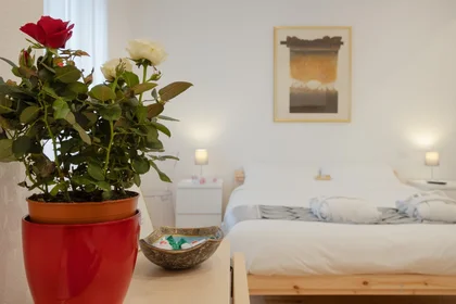 Logement entier à Via Giovanni e Demetrio Economo 12, image 18 de 20