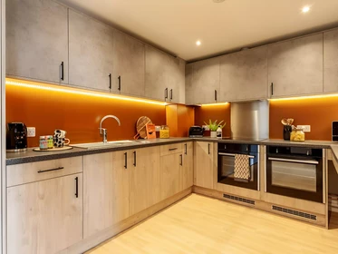 Privatzimmer in der Benson Street, bild 28 von 43